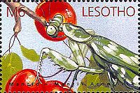 Lesotho 2002