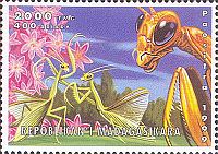 Madagaskar 1999