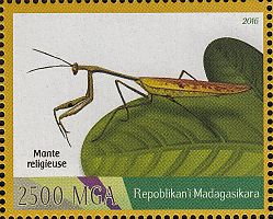 Madagaskar2016_2