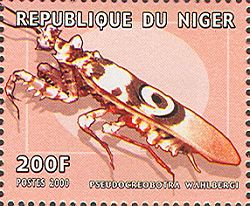 Niger 2000
