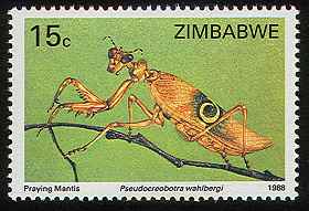 Simbabwe