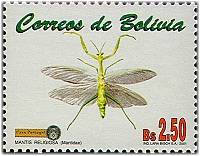 Bolivien 2001