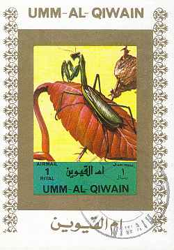 UmalQiwain