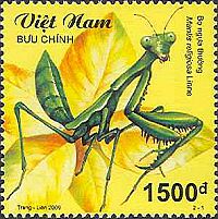 Vietnam